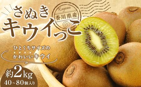 さぬきキウイっこ 香川県産 約2kg(40〜80個入り)