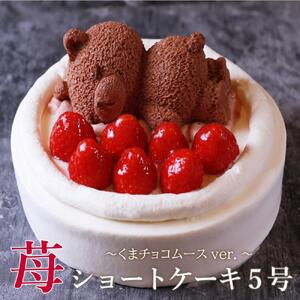 �����@䕃V���[�g���F�����(5��)