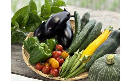 [先行予約受付中]無農薬 無化学肥料 無除草剤 夏のお野菜セット(旬の有機野菜5〜10種類前後)