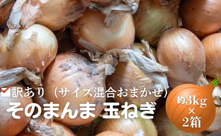 訳あり(サイズ混合おまかせ)そのまんま 玉ねぎ(約3kg×2箱)計約6kg たまねぎ 野菜