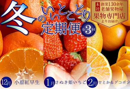 冬のいいとこどり定期便[全3回] 果物 フルーツ デザート 食後 冬のフルーツ 冬の果物 小原紅早生 さぬき姫 いちご せとか デコポン 冬の味覚