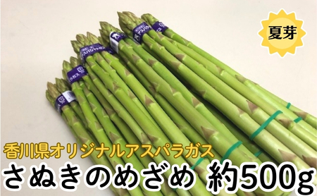 香川県オリジナルアスパラガス「さぬきのめざめ」(夏芽) 約500g アスパラガス 野菜