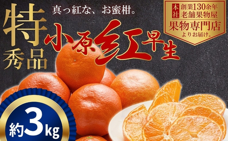 �ɐ�I�^���ԂȂ݂���̏����g���� ��3kg �ʕ� �t���[�c ���k �f�U�[�g ����� �H�� ���Y ���{�Y �Y�n���� ����I���W�i���i�� �H�ו�