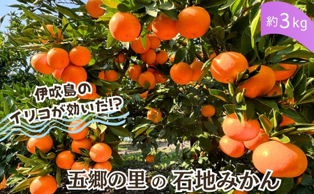 ɐ̃CRňĂ! ܋̗̐Βn݂ 3kg 쌧ωsY