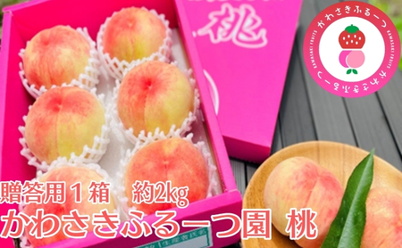 かわさきふるーつ園直送 桃 贈答用1箱 約2kg