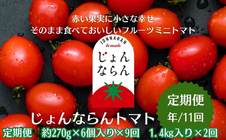 モリヒロ園芸が育てたじょんならんトマトの定期便(年間11回) 野菜 ミニトマト 甘い フルーツ サラダ