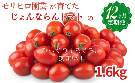 �����q�����|����Ă������Ȃ��g�}�g��12��������� ��� �~�j�g�}�g