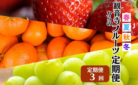 [2026年受付] 観音寺市からの特産フルーツ 定期便 年間3回