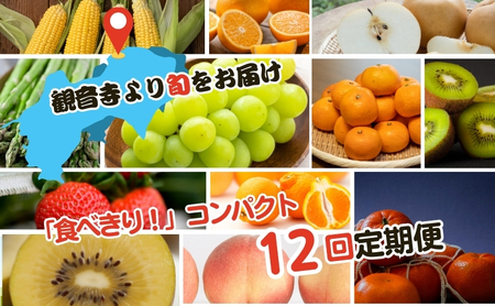 [2026年受付]ご家庭用 食べきり 旬菜旬果フルーツ定期便 全12回