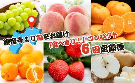 【2026年受付】ご家庭用 食べきり 旬果フルーツ定期便 全6回 