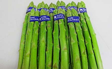 香川県オリジナルアスパラガス「さぬきのめざめ」(夏芽)細物 約800g