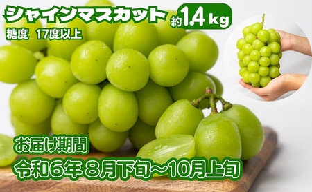 《鮮度抜群》シャインマスカット 約1.4kg 2～4房入り ぶどう 香川県産 種なし 果物