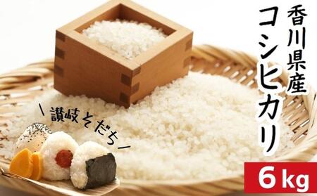 令和7年 香川県産「コシヒカリ」 6kg 讃岐育ち 精米 お米 こしひかり おこめ 白米