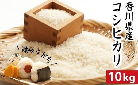 令和7年 香川県産「コシヒカリ」 10kg 讃岐育ち 精米 お米 こしひかり おこめ 白米