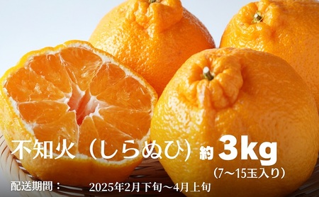 不知火(しらぬひ)約3kg