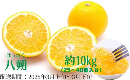 八朔 約10kg