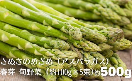 さぬきのめざめ（アスパラガス）春芽 旬野菜 約500g（約100g×5束）