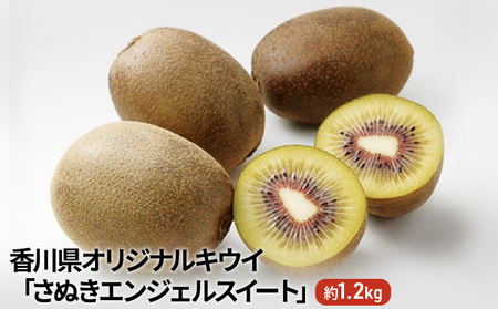 香川県オリジナルキウイ「さぬきエンジェルスイート」約1.2kg 果実 甘い 讃岐 くだもの ジューシー フルーツ