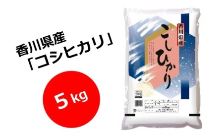 [令和5年産] 香川県産 コシヒカリ 5kg_お米