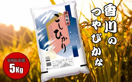 [令和5年産] 香川県産 コシヒカリ 5kg_お米