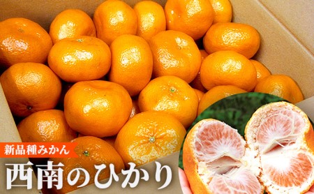 新品種みかん「西南のひかり」約5kg