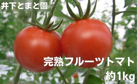 井下とまと園の完熟フルーツトマト 約1kg