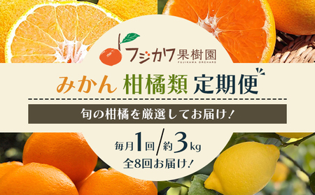 [8回 頒布会]みかん 柑橘類 定期便 彩り柑橘 8回 フルーツ フジカワ果樹園セレクト 果物