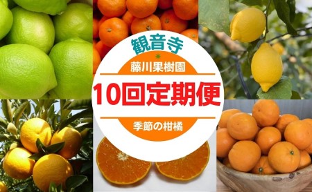 [10回 頒布会]みかん レモン 定期便 10回 フルーツ フジカワ果樹園オリジナル(季節の柑橘セット) 果物