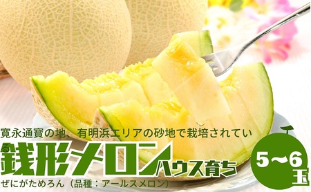 iK`j5`6ʓ ʕ  t[c 炿 A[X  fU[g H Y 쌧Y ωsY