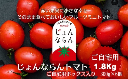 モリヒロ園芸が育てたじょんならんトマト(ご自宅用ボックス)