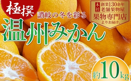 2025年11月上旬より順次発送]極撰!温州みかん 約10kg 果物 柑橘 フルーツ 程よい酸味 ジューシー 甘い 国産 日本産 冬の味覚 冬の果物 冬のフルーツ