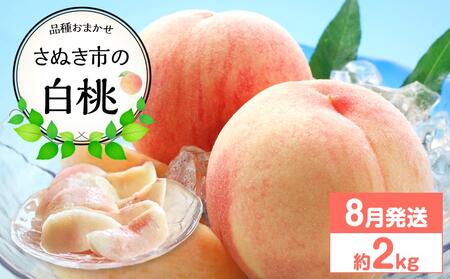[先行予約]さぬき市の白桃 約2kg 8月発送 品種おまかせ[国産 もも 桃 白桃 白鳳 あかつき 清水白桃 なつおとめ 川中島白桃 まどか 黄金桃 西大母 飯田桃園 さぬき市]
