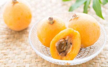 香川のびわ 「なつたより」約1kg 5月下旬頃〜発送