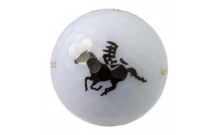 ゴルフボール 2026干支ボール 12球入 1ダース ホワイト 黒馬 ゴルフ kasco キャスコ