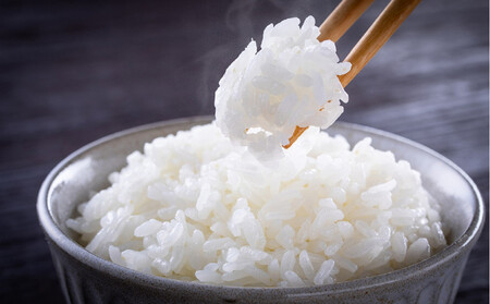 令和7年度産 新米 コシヒカリ 5kg 米