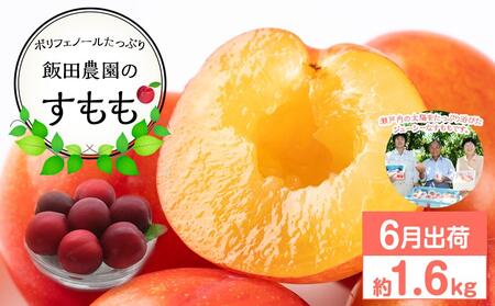 [先行予約]飯田桃園のすもも 1.6kg 6月出荷[スモモ 瀬戸内のスモモ 香川 さぬき市] | すもも すもも すもも すもも すもも