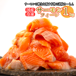 サーモン 約 750g 鮭 国産 魚 鮮魚 産地直送