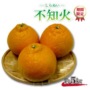 不知火 しらぬひ デコポン 約 5kg 柑橘