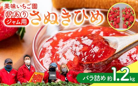 訳あり いちご 苺 美味しい さぬきひめ イチゴ ジャム ジャム用 いちご 1.2kg ケーキ用 いちご お菓子作り用 いちご 香川県 さぬき市 いちご