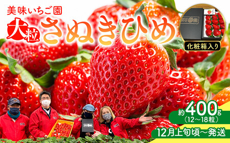 y12{`zuʂЂ߁vϔ 400g