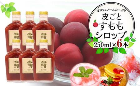 炲ƂVbv 6{i250ml×6jyt[c Vbv  X 쌧 ʂsz