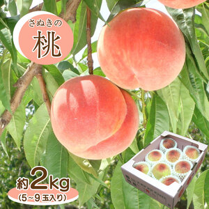 桃 もも 白桃 果物 約 2kg 香川