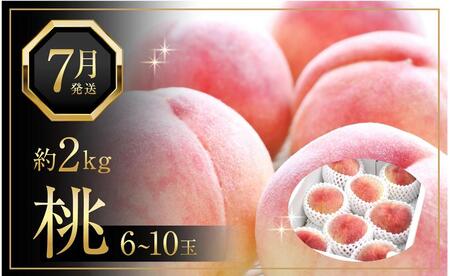 先行予約 白桃 桃 約2kg 6-10玉入り ジューシーな果汁と果肉が自慢 | 桃桃桃桃桃
