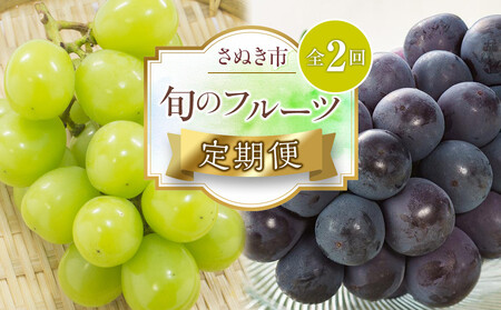 【定期便全2回】旬のフルーツ定期便 (ニューピオーネ シャインマスカット)【葡萄 ぶどう 旬 人気 フルーツ 果物 くだもの 香川県】