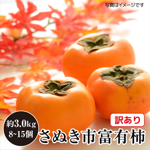 訳あり 柿 かき 柿 カキ 柿 約 3kg 柿   約8個～15個 富有柿 柿