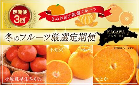 [定期便全3回]さぬき市冬のフルーツ厳選定期便 (小原紅早生みかん しらぬひ せとか)[旬 人気 果物 くだもの フルーツ 柑橘 香川県 ]