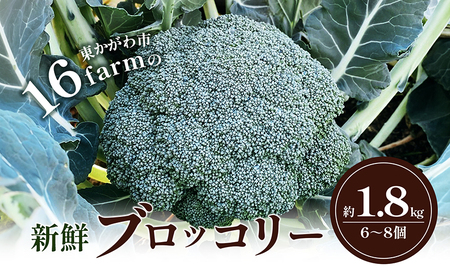 16farmの新鮮ブロッコリー 約1.8kg(6〜8個) ブロッコリー 野菜 やさい 新鮮 東かがわ