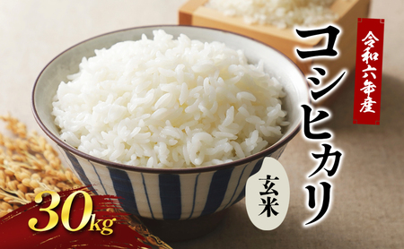 はなまる農園令和6年新米香川県産「コシヒカリ（玄米）30kg」 10月配送 | 香川県東かがわ市 | ふるさと納税サイト「ふるなび」