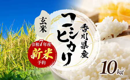 令和7年産 新米「コシヒカリ」10kg(玄米) お米 10kg