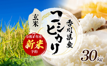 令和7年産　新米「コシヒカリ」30kg（玄米）お米 30kg 